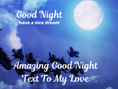 175 Amazing Good Night Text To My Love